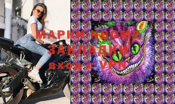 мяу мяу мука Баксан