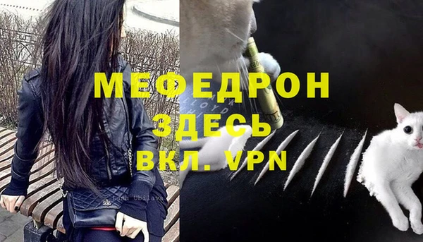 мяу мяу мука Баксан
