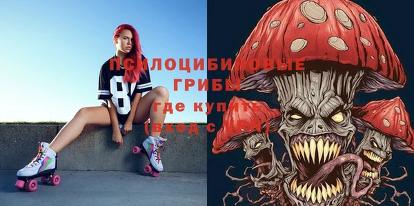мяу мяу мука Баксан